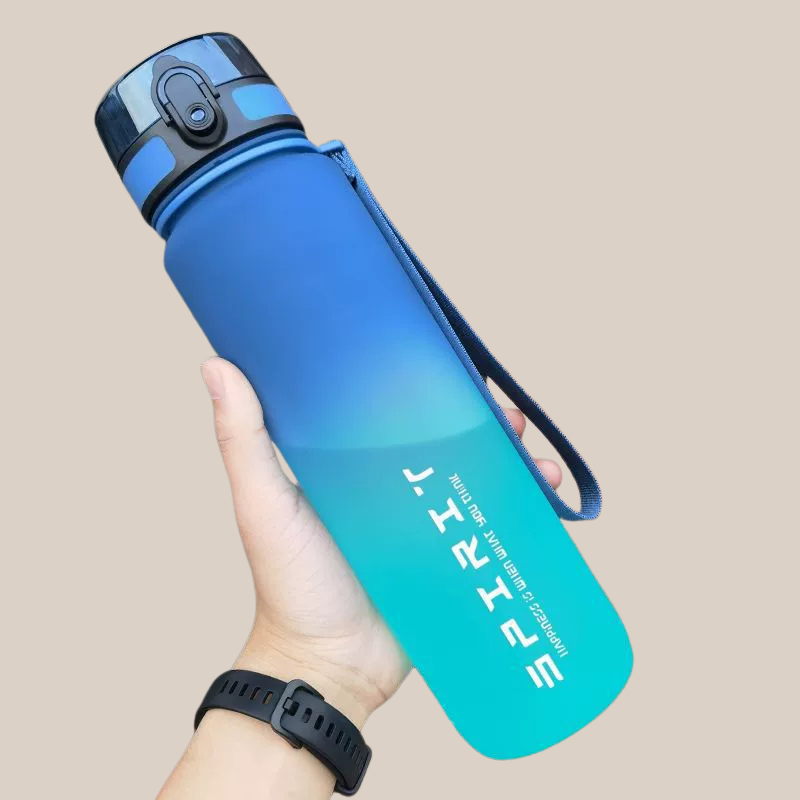 Gourde Plastique Dégradée