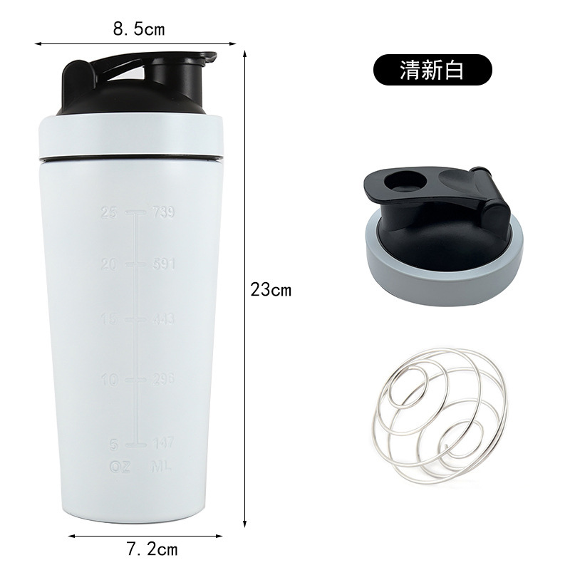 Shaker Inox Gourde