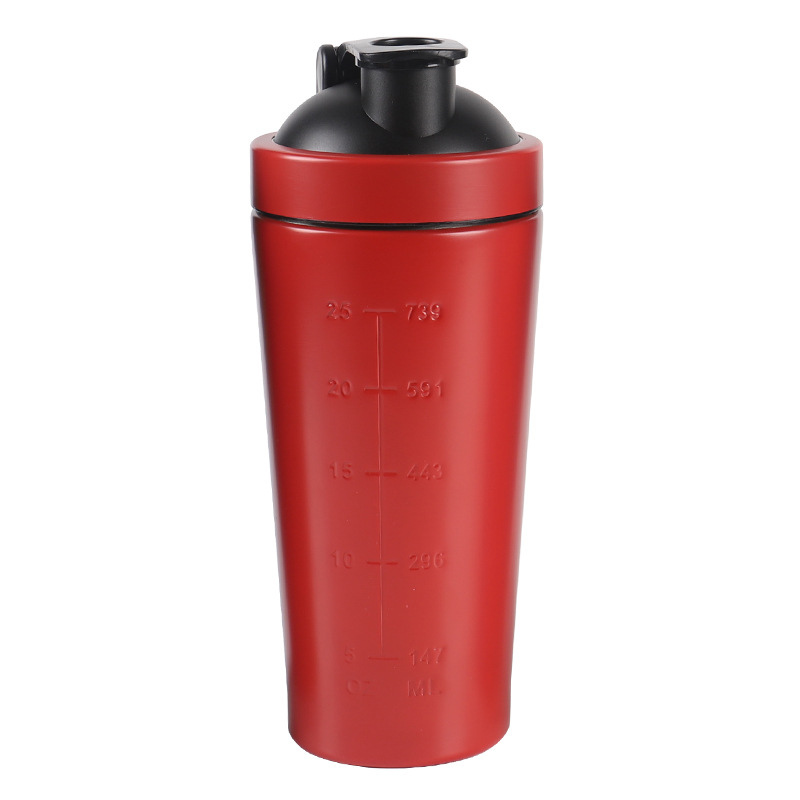 Shaker Inox Gourde