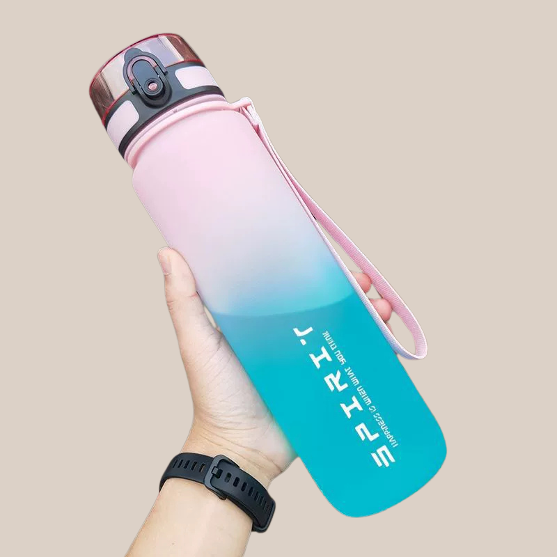 Gourde Plastique Dégradée